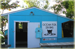 The Ocean Fox Dive Shop