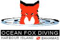 Ocean Fox Diving